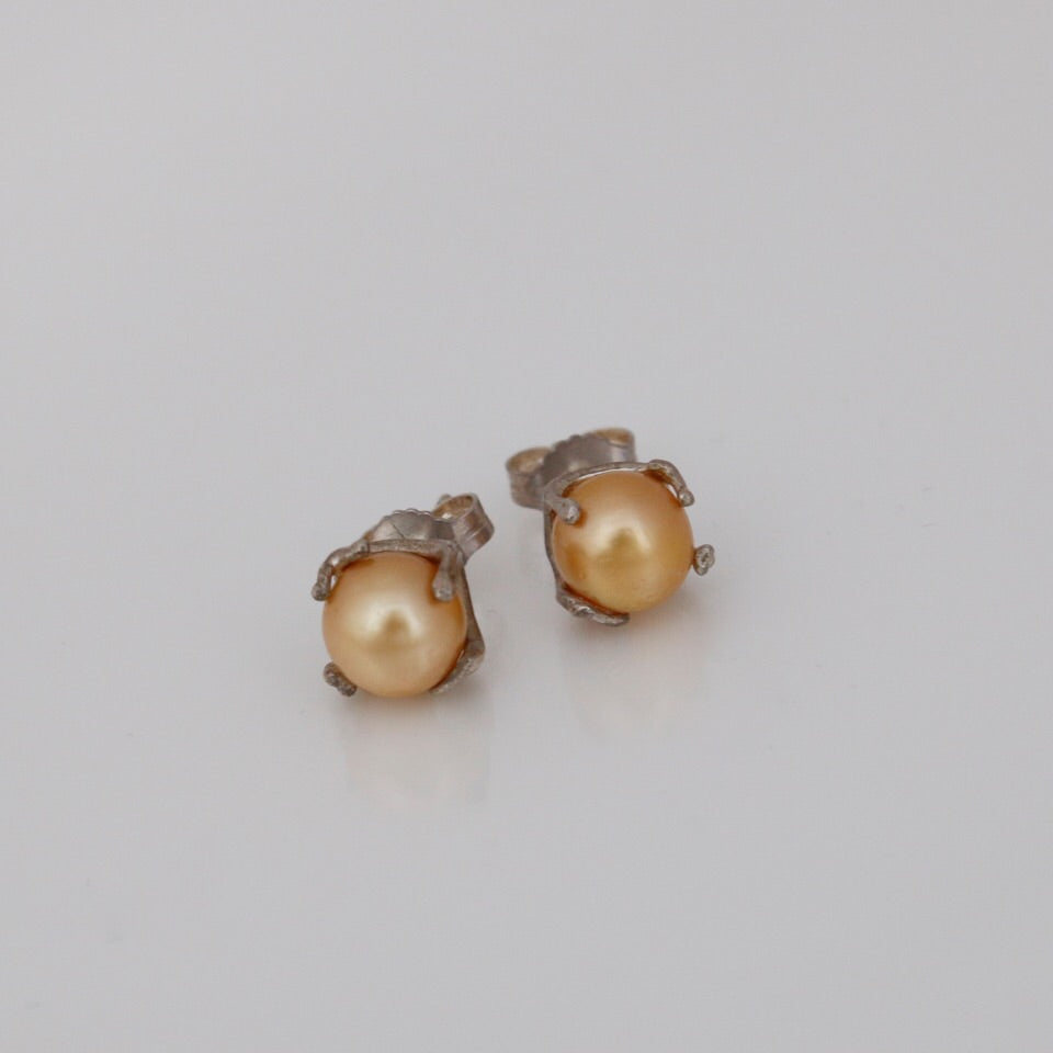 Australian South Sea Golden Pearl stud earrings